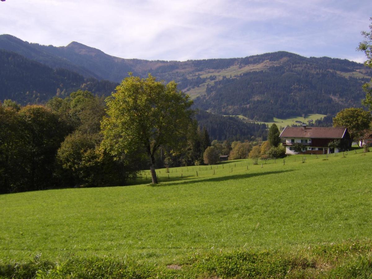 Schrandl Apartment Penningberg ホップフガルテン・イム・ブリクセンタール エクステリア 写真