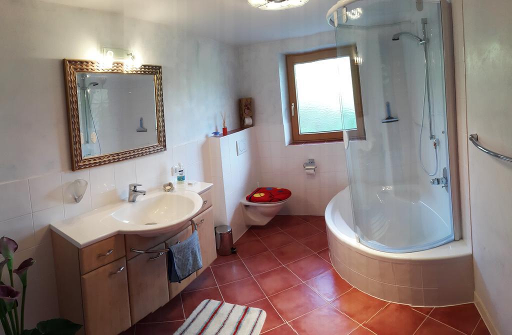 Schrandl Apartment Penningberg ホップフガルテン・イム・ブリクセンタール 部屋 写真