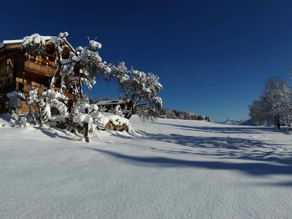 Schrandl Apartment Penningberg ホップフガルテン・イム・ブリクセンタール 部屋 写真