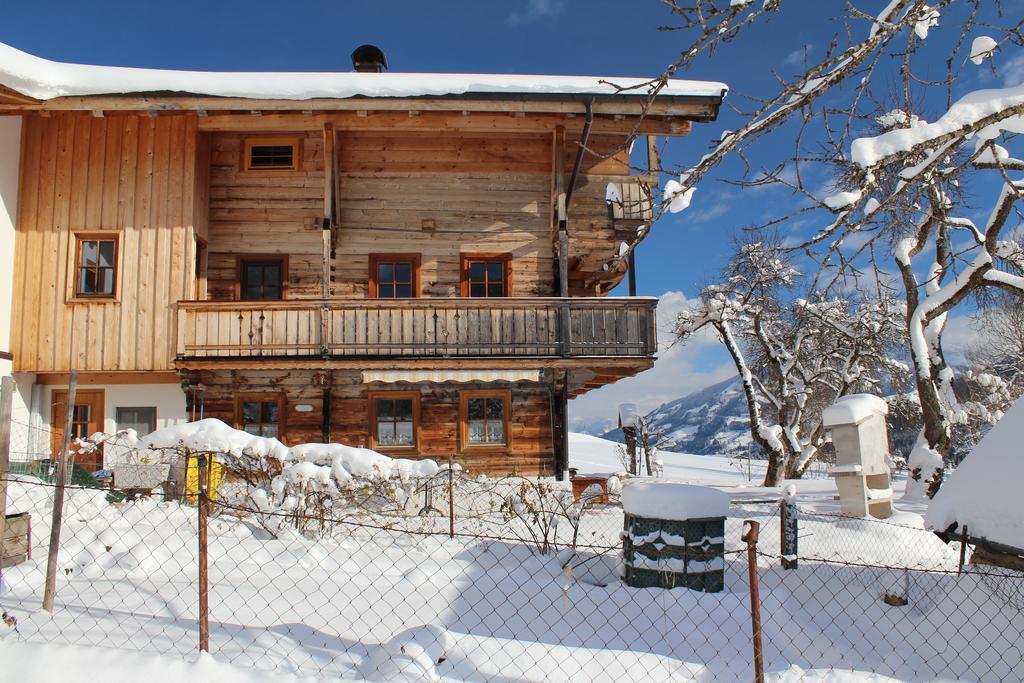 Schrandl Apartment Penningberg ホップフガルテン・イム・ブリクセンタール エクステリア 写真