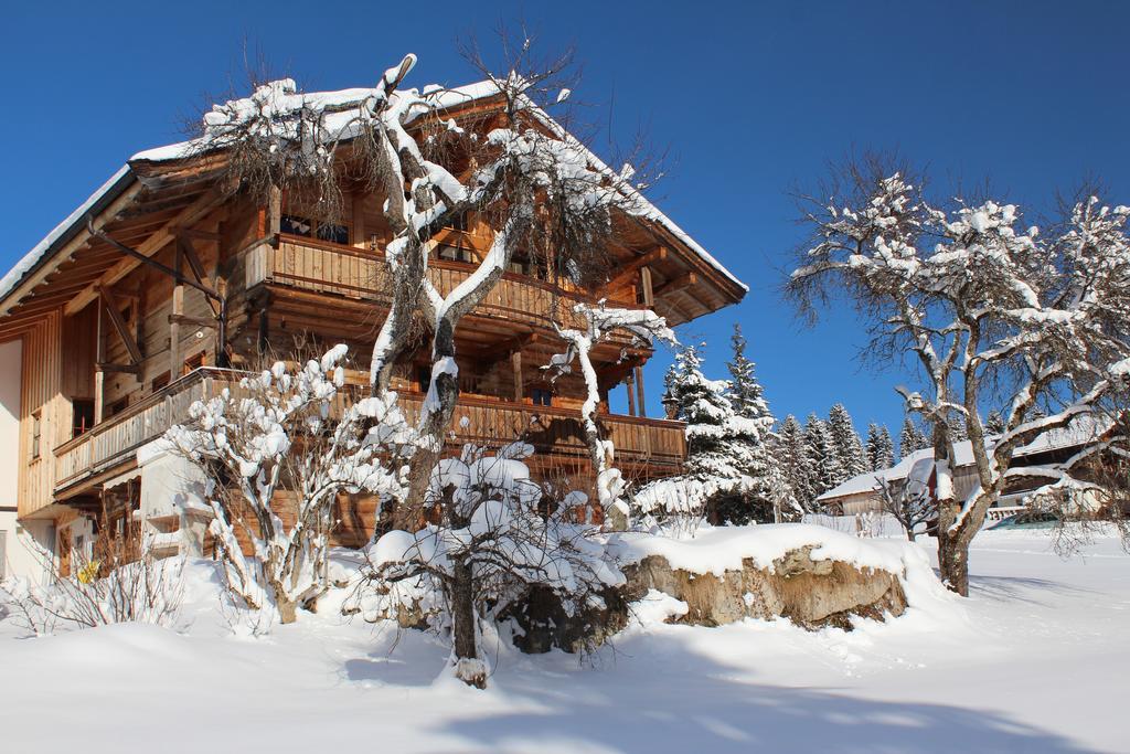 Schrandl Apartment Penningberg ホップフガルテン・イム・ブリクセンタール エクステリア 写真
