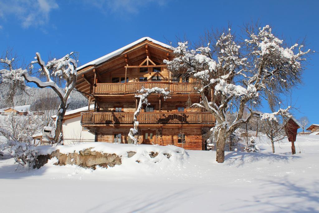 Schrandl Apartment Penningberg ホップフガルテン・イム・ブリクセンタール エクステリア 写真