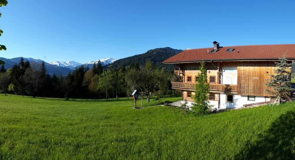 Schrandl Apartment Penningberg ホップフガルテン・イム・ブリクセンタール エクステリア 写真